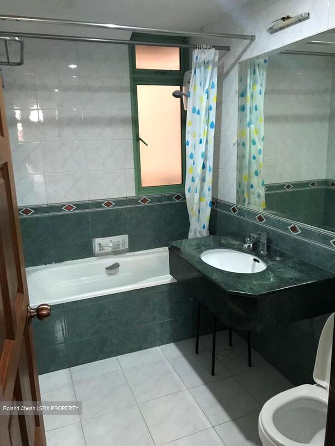 Tiara (D9), Condominium #501727411